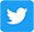 Twitter Icon